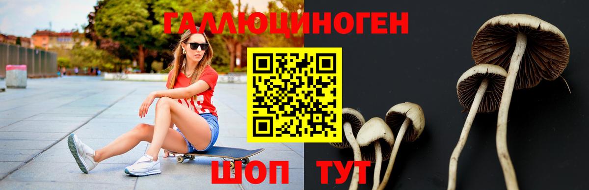 Галлюциногенные грибы ЛСД  Вход с VPN  Балашиха 